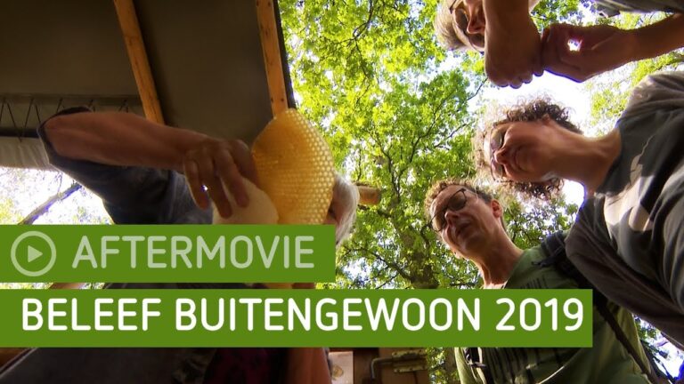 Originele Stadsactiviteiten voor Creatieve Workshops