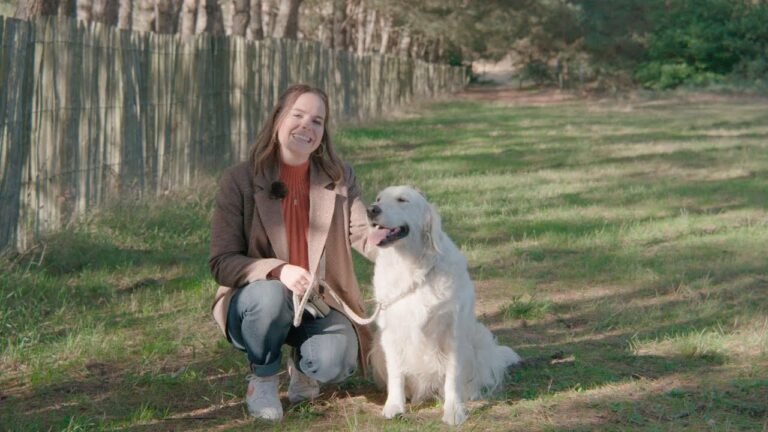 Groen Toerisme in Belgi&euml;: Ontdek de Mooiste Wandelroutes