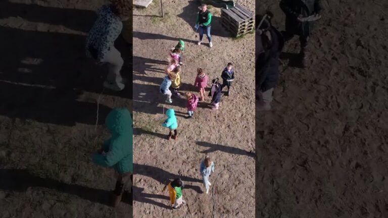 Ontdek Gezinsvriendelijke Speelplekken